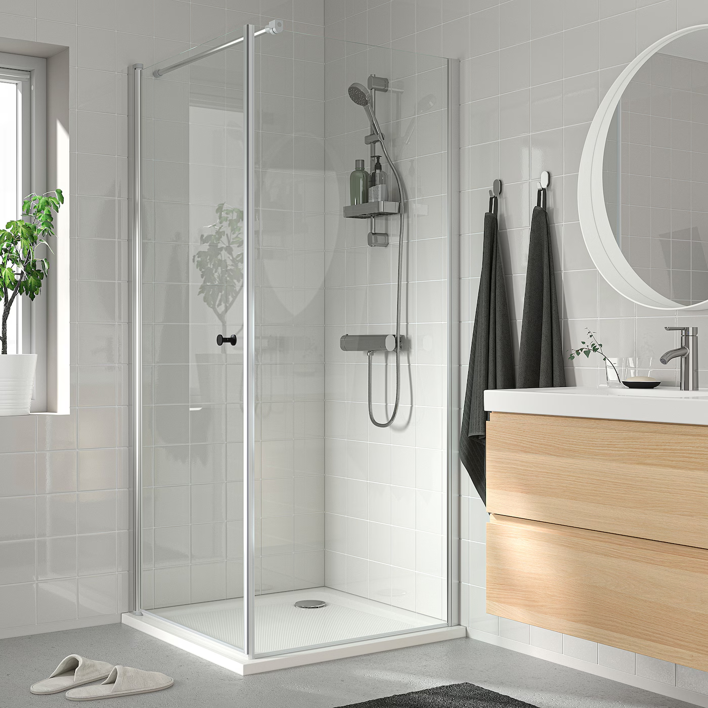 Shower Partition